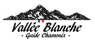 Vallée Blanche Guide chamonix